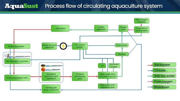 Process Flow of Circulating Aquaculture System Process Flow of Circulating Aquaculture System