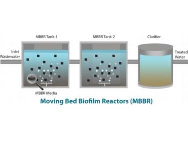 Rapid On-site Diagnosis: Causes And Solutions For Biofilm Conditions (Too Thi...